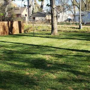 bellevue-nebraska-lawn-care-1