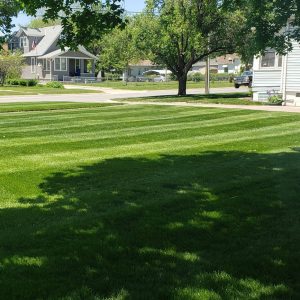 council-bluffs-ia-lawn-care-1