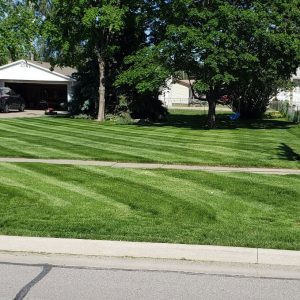 council-bluffs-ia-lawn-care-2