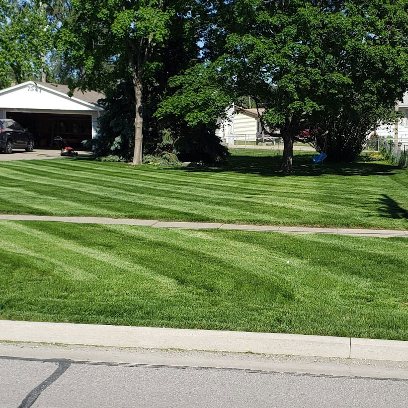 Home - Proterra Lawn Care & Landscaping In Council Bluffs Iowa