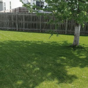 omaha-lawn-care-3