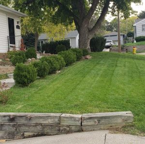 south-omaha-lawn-care-1